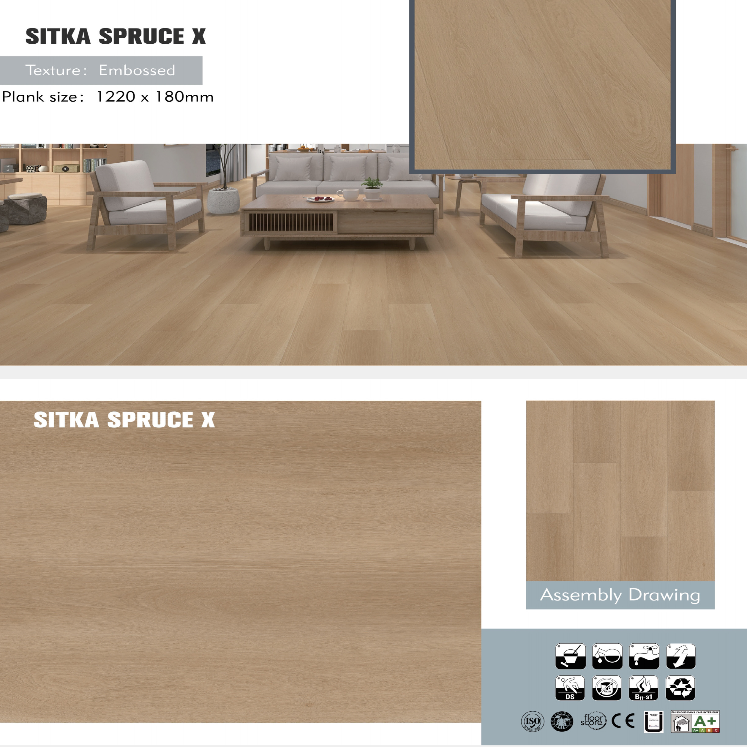 Sitka Spruce X