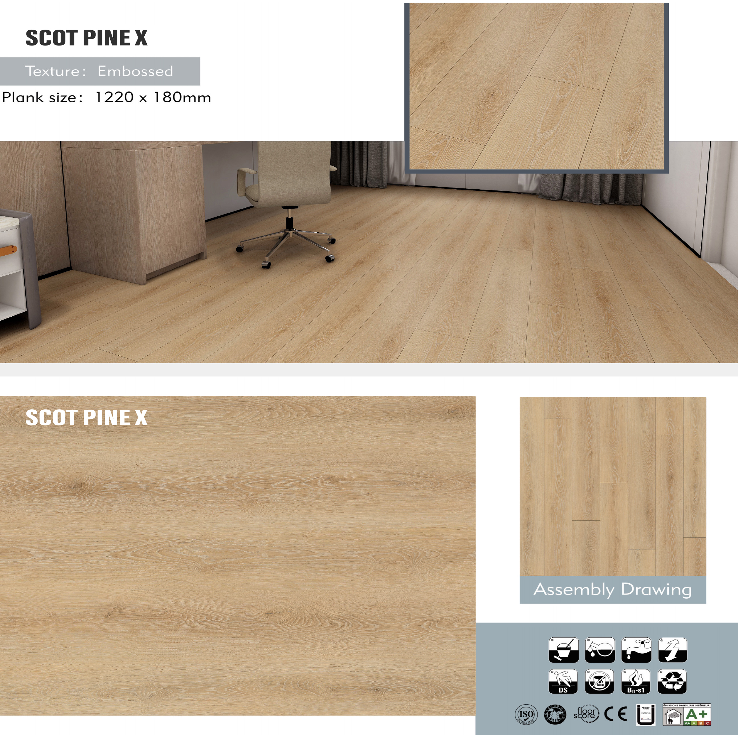 Scot Pine X